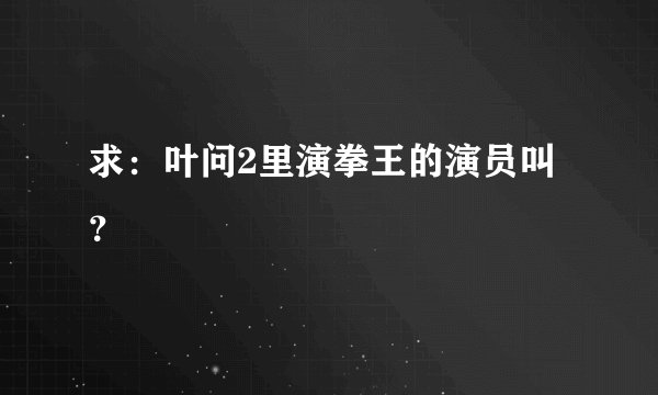 求：叶问2里演拳王的演员叫？