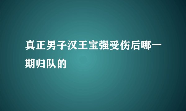 真正男子汉王宝强受伤后哪一期归队的