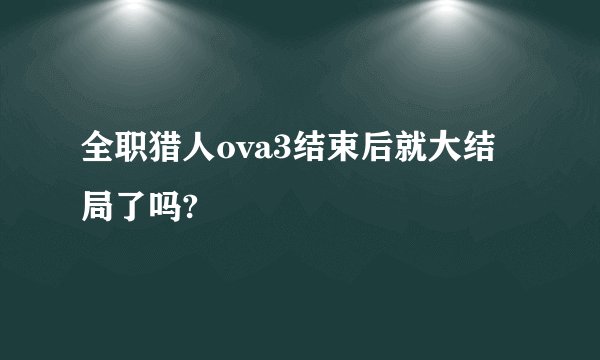 全职猎人ova3结束后就大结局了吗?