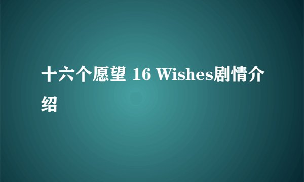 十六个愿望 16 Wishes剧情介绍