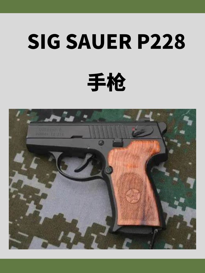 SIG SAUER P228手枪