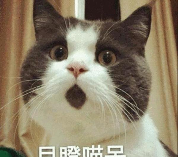“装修管家”这个装修行业新宠究竟是什么？