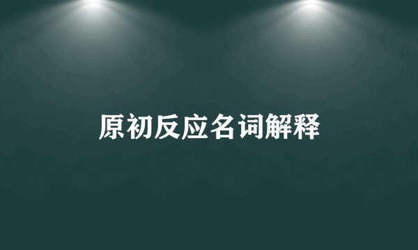 原初反应名词解释