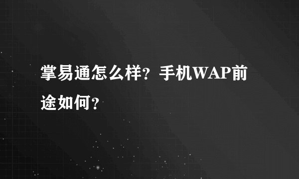 掌易通怎么样？手机WAP前途如何？