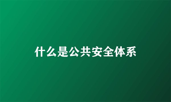 什么是公共安全体系