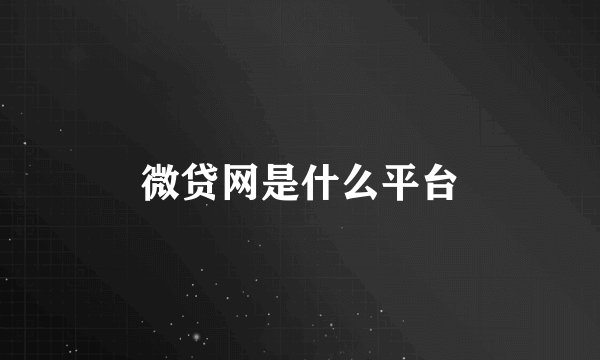 微贷网是什么平台