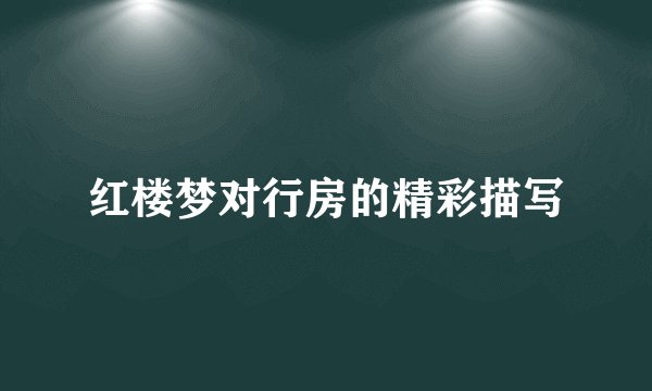 红楼梦对行房的精彩描写
