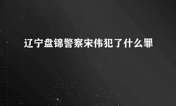 辽宁盘锦警察宋伟犯了什么罪