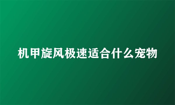 机甲旋风极速适合什么宠物