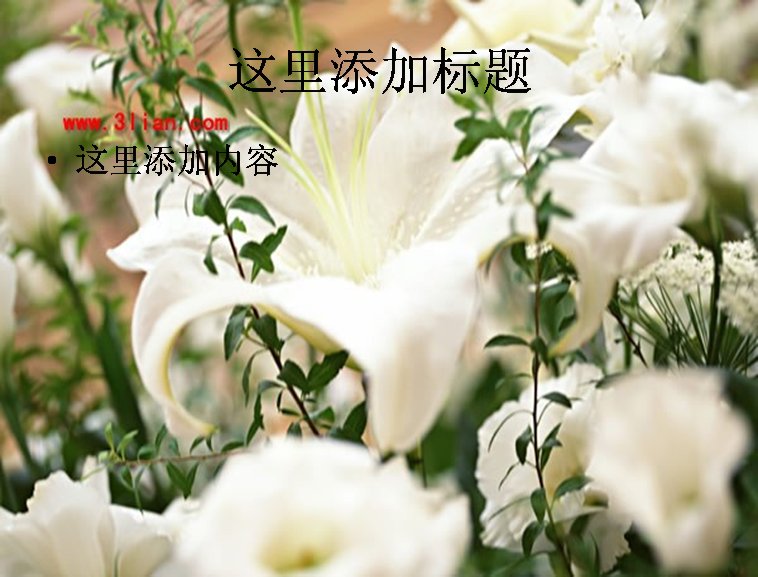 百合婚礼社区的社区起源