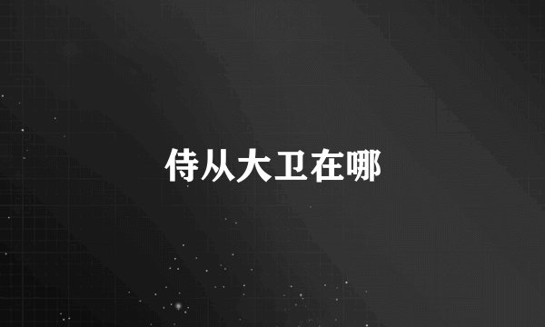 侍从大卫在哪