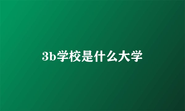3b学校是什么大学