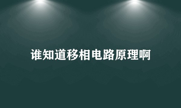 谁知道移相电路原理啊