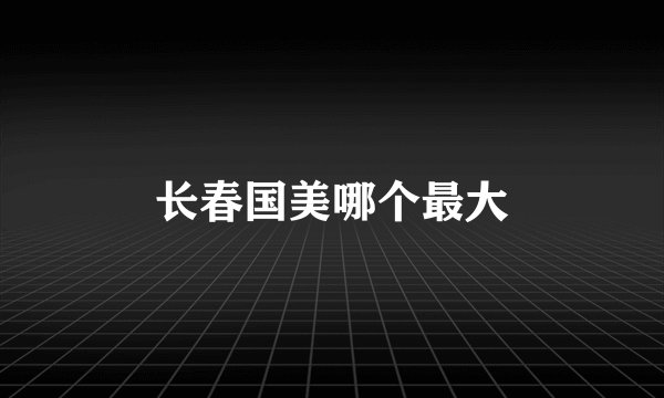 长春国美哪个最大