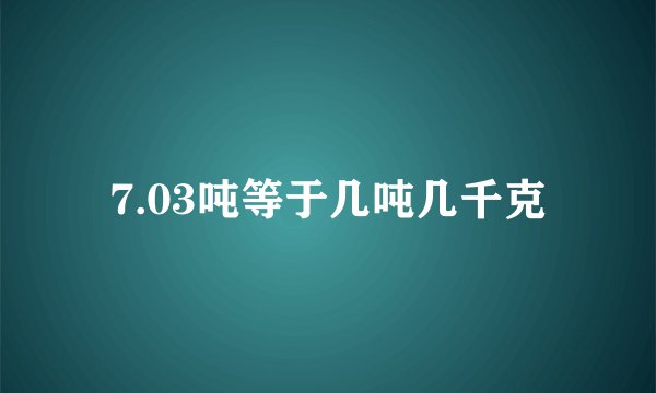 7.03吨等于几吨几千克