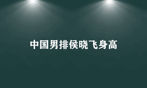 中国男排侯晓飞身高