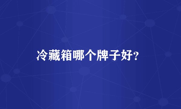 冷藏箱哪个牌子好？