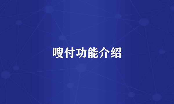 嗖付功能介绍