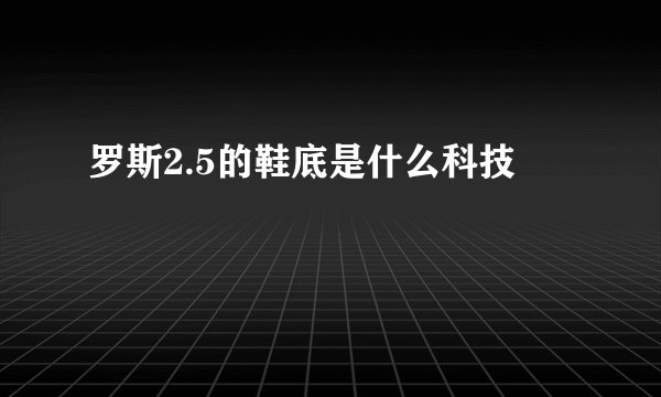 罗斯2.5的鞋底是什么科技