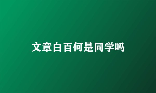 文章白百何是同学吗