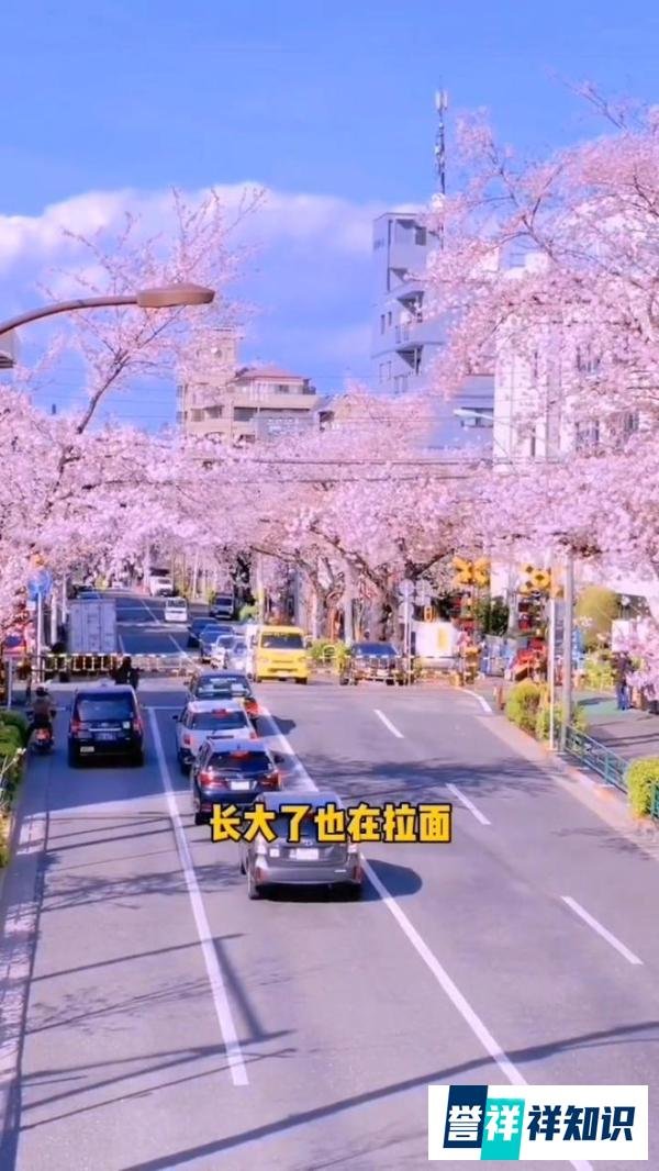 日本的贫富差距到底有多大?