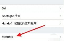 苹果灰度键开启了有什么作用