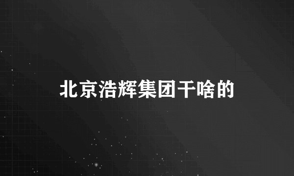 北京浩辉集团干啥的
