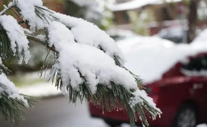 美国科州遭暴风雪，21万户居民断电，这场暴雪还带来了哪些影响？