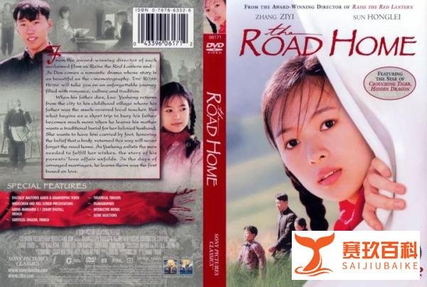 张伟平因欠张艺谋246万被限高，曾出品《英雄》的新画面影业怎么了？
