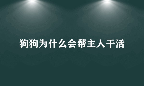 狗狗为什么会帮主人干活