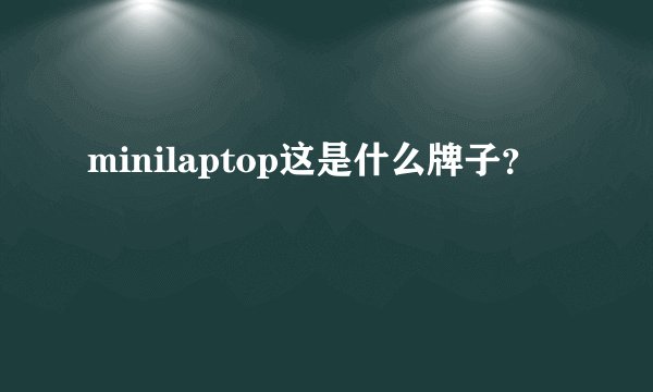 minilaptop这是什么牌子？
