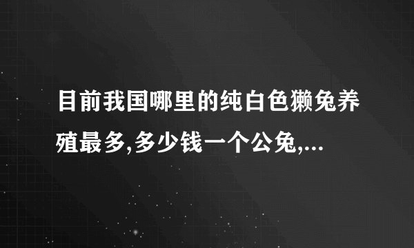 目前我国哪里的纯白色獭兔养殖最多,多少钱一个公兔,一个母獭兔