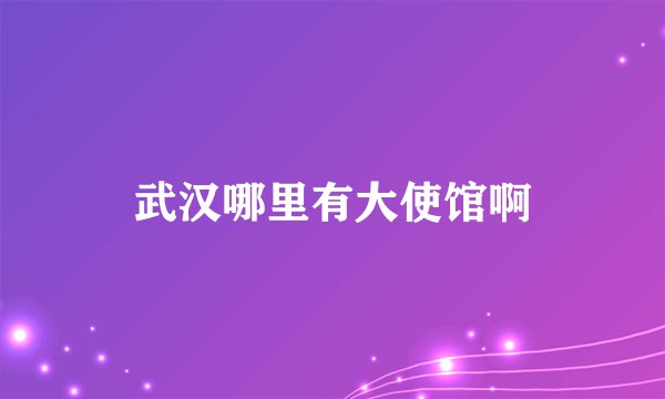 武汉哪里有大使馆啊