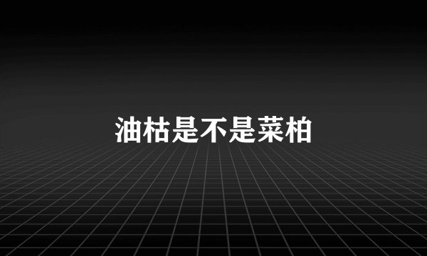 油枯是不是菜柏