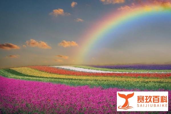 伊文吉他丨吉他教学示范：羽泉——《彩虹》