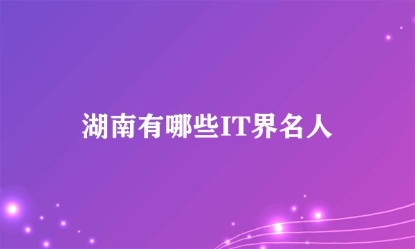 湖南有哪些IT界名人