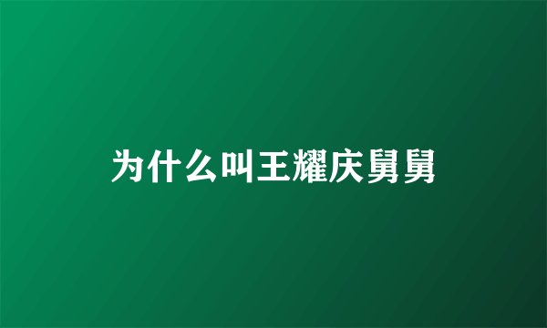 为什么叫王耀庆舅舅