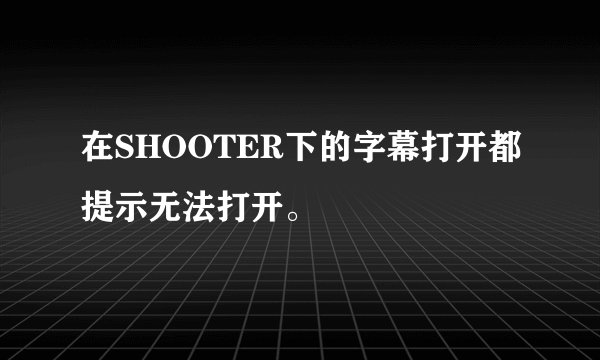在SHOOTER下的字幕打开都提示无法打开。