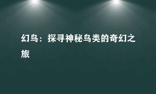 幻鸟：探寻神秘鸟类的奇幻之旅
