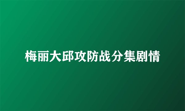 梅丽大邱攻防战分集剧情