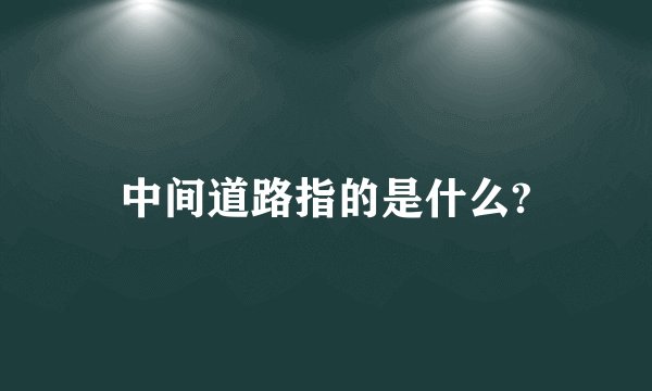 中间道路指的是什么?