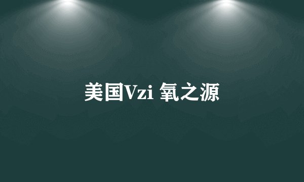 美国Vzi 氧之源