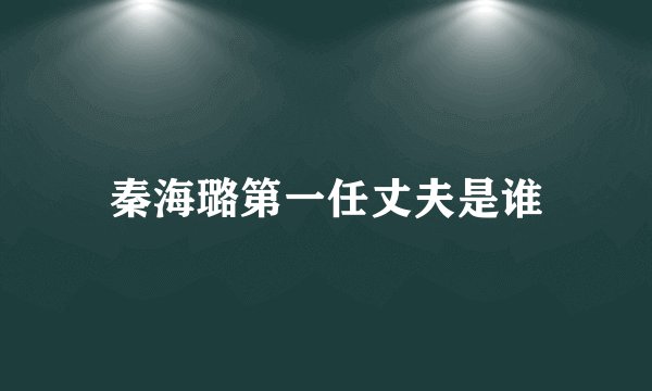 秦海璐第一任丈夫是谁