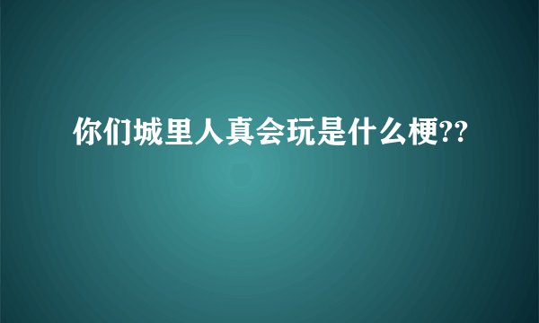 你们城里人真会玩是什么梗??