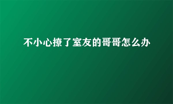 不小心撩了室友的哥哥怎么办