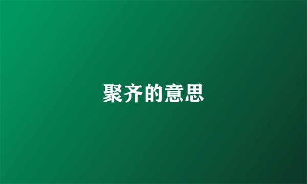 聚齐的意思