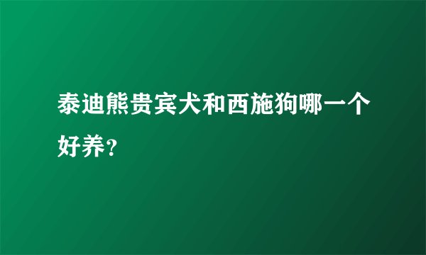 泰迪熊贵宾犬和西施狗哪一个好养？