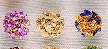 花茶的种类是根据什么命名的
