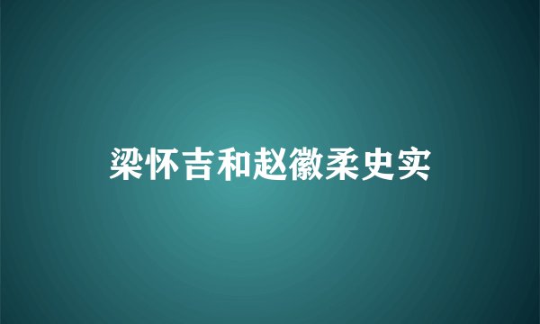 梁怀吉和赵徽柔史实