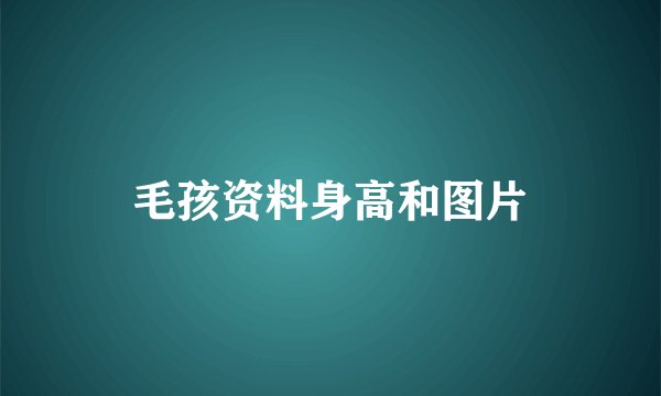 毛孩资料身高和图片